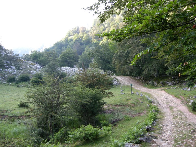 Picos_2013 103
